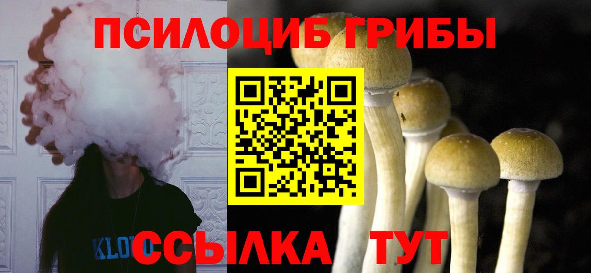 Галлюциногенные грибы Magic Shrooms Петрозаводск