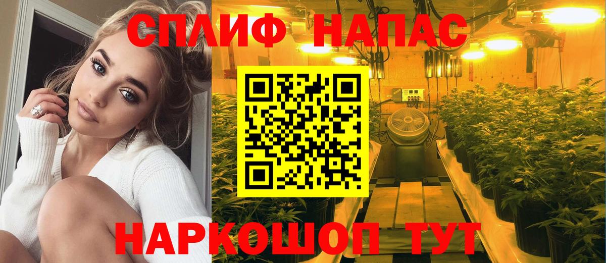 Петрозаводск  Марихуана планчик  Марихуана OG Kush  Вход с VPN  Бошки марихуана SATIVA & INDICA 